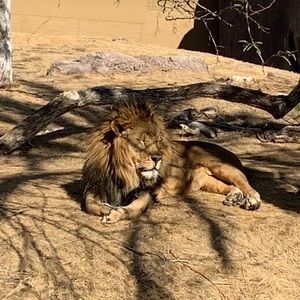 Meet your Posher, Monique